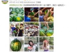 今日吃瓜学生校园什么网站,学生热议焦点一网打尽