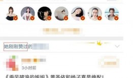 爆料网吃瓜黑料反差入口 明星价格表,明星价格表与爆料黑料背后的真相